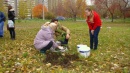 Во втором корпусе  нашего колледжа  прошли  экологические акции «Посади дерево», «Растения Красной книги Среднего Урала»