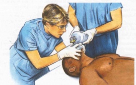 ������������� ������������� ���������� ��������� �� 20 �������� 